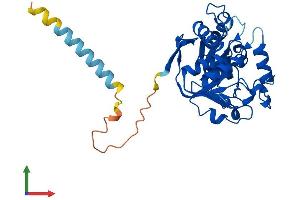 AlphaFold protein structure predicition of Human Recombinant ST6GALNAC3 Protein, UniprotID Q8NDV1 (alpha-N-Acetylgalactosaminide alpha-2,6-Sialyltransferase 3 (SIA7C) (AA 1-305) protein (His tag))