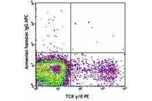 Flow Cytometry (FACS) image for anti-TCR V Gamma1.1/Cr4 antibody (APC) (ABIN2658408) (TCR V Gamma1.1/Cr4 antibody (APC))