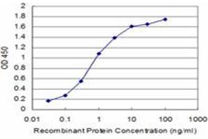 Detection limit for recombinant GST tagged CLDN2 is approximately 0. (Claudin 2 antibody  (AA 29-80))