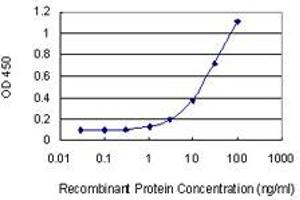 Detection limit for recombinant GST tagged FAIM2 is 0. (FAIM2 antibody  (AA 1-316))