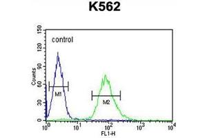 ARHGAP17 Antibody (N-term) flow cytometric analysis of K562 cells (right histogram) compared to a negative control cell (left histogram).