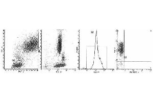 Image no. 1 for anti-Integrin alpha-L (ITGAL) antibody (PE) (ABIN1105773) (ITGAL antibody  (PE))