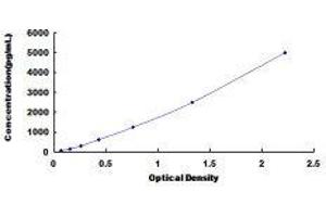 V-Crk Sarcoma Virus CT10 Oncogene Homolog (Avian)-Like (CRKL) ELISA Kit