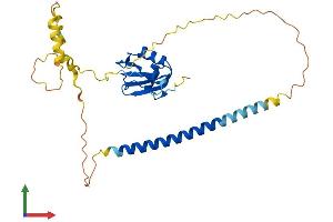 AlphaFold protein structure predicition of Human Recombinant RALYL Protein, UniprotID Q86SE5 (RALYL Protein (AA 1-291) (His tag))