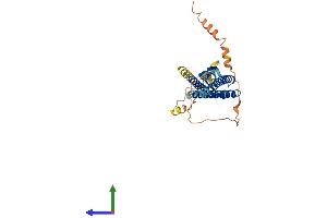 AlphaFold protein structure predicition of Human Recombinant GSG1 Protein, UniprotID Q2KHT4 (GSG1 Protein (AA 1-349) (His tag))