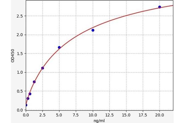 CDH6 ELISA Kit