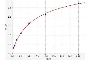 Typical standard curve (CDH6 ELISA Kit)