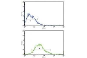 Flow cytometric analysis of MCF-7 cells using FGFR1 antibody (bottom histogram) compared to a negative control (top histogram). (FGFR1 antibody  (AA 19-48))