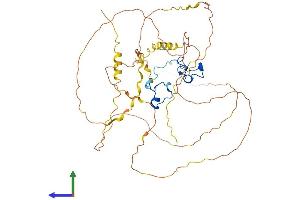 AlphaFold protein structure predicition of Mouse Recombinant Zfp36l2 Protein, UniprotID P23949