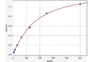 Decorin ELISA Kit