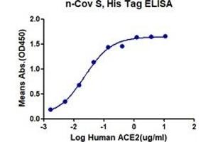 2019-ncov S (coating at 0. (SARS-CoV-2 Spike Protein (His-Avi Tag))