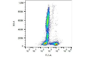 Surface staining of human peripheral blood cells with anti-human CD27 (LT27) FITC. (CD27 antibody  (FITC))