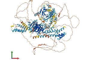 AlphaFold protein structure predicition of Human Recombinant ERCC6L Protein, UniprotID Q2NKX8