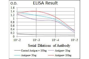ELISA image for anti-CD6 (CD6) (AA 472-668) antibody (ABIN1846113) (CD6 antibody  (AA 472-668))