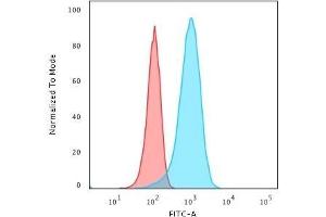 Flow Cytometric Analysis of T98G cells using Pgp9. (UCHL1 antibody)