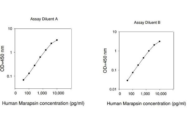 PRSS27 ELISA Kit