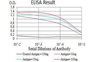 Black line: Control Antigen (100 ng), Purple line: Antigen(10 ng), Blue line: Antigen (50 ng), Red line: Antigen (100 ng), (NOTCH3 antibody  (AA 47-156))