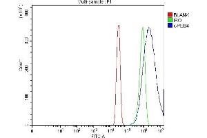Flow Cytometry analysis of SiHa cells using anti-CPEB4 antibody (ABIN7601199). (CPEB4 antibody  (AA 3-462))