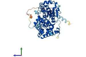 AlphaFold protein structure predicition of Mouse Recombinant Pxylp1 Protein, UniprotID Q8BHA9 (ACPL2 Protein (AA 1-480) (His tag))
