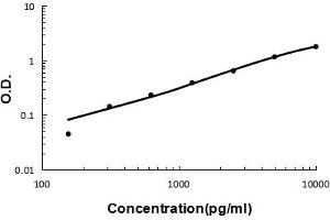 Sandwich ELISA - Recombinant human Tryptase/TPSAB1,B2 protein standard curve. (TPSAB1 antibody  (AA 65-275))