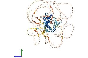 AlphaFold protein structure predicition of Mouse Recombinant Micall1 Protein, UniprotID Q8BGT6 (MICAL-Like 1 Protein (MICALL1) (AA 1-870) (His tag))