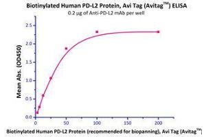 Immobilized anti-PD-L2 mAb (human IgG1) at 2 μg/mL (100 μl/well) can bind Biotinylated Human PD-L2, Avi Tag (Avitag™) (Cat# PD2-H82E8) with a linear range of 3-50 ng/mL. (PDCD1LG2 Protein (AA 20-219) (His tag,AVI tag,Biotin))