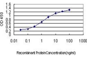 Detection limit for recombinant GST tagged BTBD9 is approximately 0. (BTBD9 antibody  (AA 2-70))