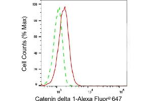 Flow cytometric analysis of Catenin delta 1 expression in H9c2 cells using Catenin delta 1 antibody (ABIN7797933), 1:2,000).