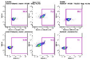 Ab staining on AGS & Rat cells, Panel 3 - HMGB1 A488 (HMGB1 antibody  (AA 75-170) (Alexa Fluor 488))