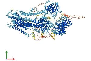AlphaFold protein structure predicition of Human Recombinant ATP8B2 Protein, UniprotID P98198 (ATP8B2 Protein (AA 1-1209) (His tag))