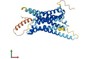 AlphaFold protein structure predicition of Human Recombinant MC4R Protein, UniprotID P32245 (MC4R Protein (AA 1-332) (His tag))