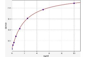 OGG1 ELISA Kit