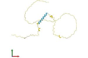 AlphaFold protein structure predicition of Human Recombinant TCEAL3 Protein, UniprotID Q969E4 (TCEAL3 Protein (AA 1-200) (His tag))