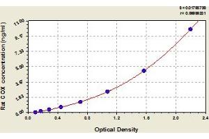 Typical Standard Curve (COX (Cytochrome C Oxidase) ELISA Kit)