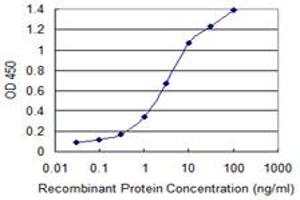 Detection limit for recombinant GST tagged ISL2 is 0. (ISL2 antibody  (AA 261-358))