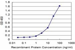 Detection limit for recombinant GST tagged FTL is approximately 1ng/ml as a capture antibody. (FTL antibody)