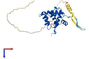 AlphaFold protein structure predicition of Human Recombinant SPDYE4 Protein, UniprotID A6NLX3 (SPDYE4 Protein (AA 1-237) (His tag))