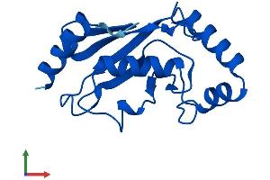 Protein Structure (PS) image for Ubiquitin-Conjugating Enzyme E2D 4 (UBE2D4) (AA 1-147) protein (His tag) (ABIN7544945)