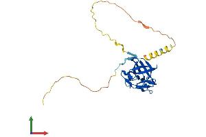 Protein Structure (PS) image for Fibroblast Growth Factor 12 (FGF12) (AA 1-243) protein (His tag) (ABIN7556583)