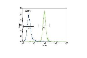 EN Antibody (Center) (ABIN650746 and ABIN2839471) flow cytometric analysis of MDA-M cells (right histogram) compared to a negative control cell (left histogram).