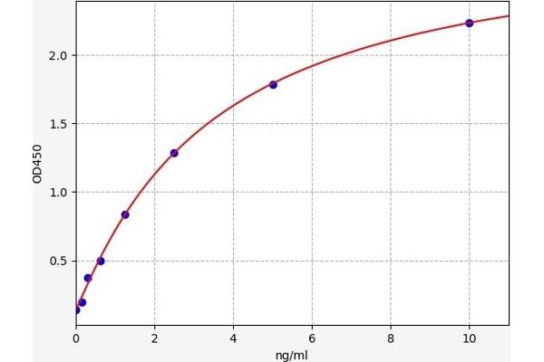 FRS3 ELISA Kit