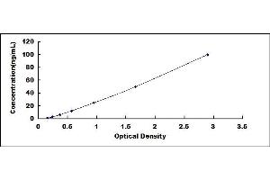 Typical standard curve (PRKAA1 ELISA Kit)