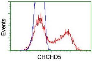 Image no. 4 for anti-Coiled-Coil-Helix-Coiled-Coil-Helix Domain Containing 5 (CHCHD5) (AA 1-110) antibody (ABIN1490560) (CHCHD5 antibody  (AA 1-110))