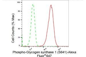 Flow cytometric analysis of Phospho-Glycogen synthase 1 (S641) expression in HepG2 cells using Phospho-Glycogen synthase 1 (S641) antibody (ABIN7798774), 1:2,000).