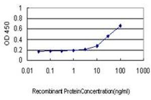 Detection limit for recombinant GST tagged LMO3 is approximately 3ng/ml as a capture antibody. (LMO3 antibody  (AA 91-146))