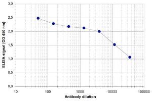 ELISA of anti-ZBTB38 antibody ELISA results of Rabbit anti-ZBTB38 antibody. (ZBTB38 antibody  (C-Term))
