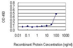 Detection limit for recombinant GST tagged RASD2 is 10 ng/ml as a capture antibody. (RASD2 antibody  (AA 1-266))