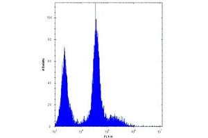 PDGFRA antibody flow cytometric analysis of U251 cells (right histogram) compared to a negative control (left histogram). (PDGFRA antibody  (AA 1048-1077))