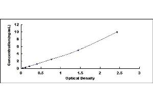 Typical standard curve (CASP14 ELISA Kit)