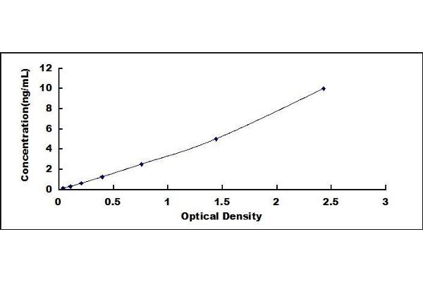 CASP14 ELISA Kit